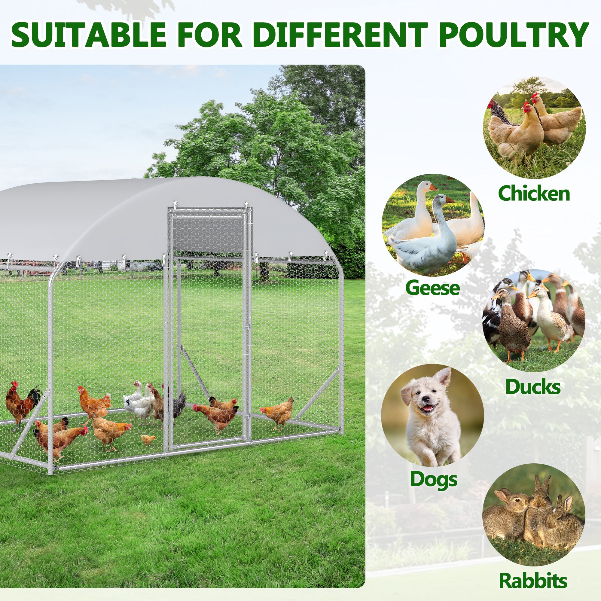 6.5×6.5×9 ft Metal Chicken Coop Run  (1 Unit Dome Roof)